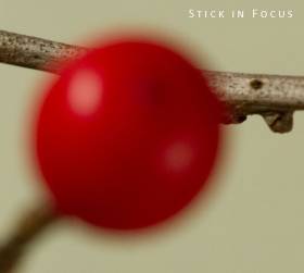 stick-in-focus-small