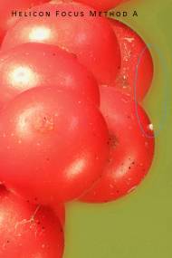 marked-hf-a-crop