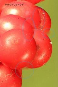 marked-ps-croip