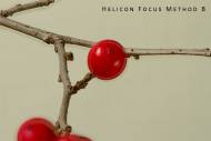 hf-b-small