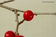 ps-small