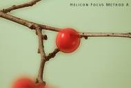 hf-a-small