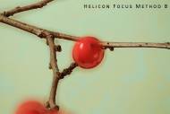 hf-b-small