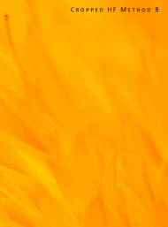 crop-hf-b-small