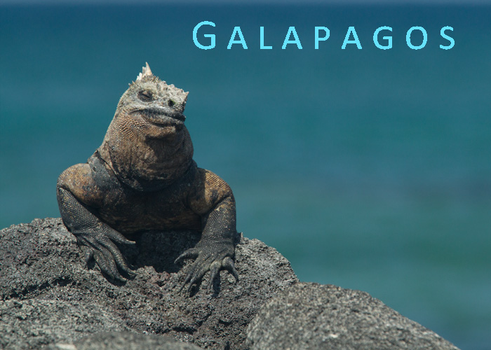 Galapagos Islands 2011