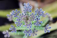 g-img_7535-edit.jpg
