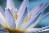 h1-img_7524-edit-3.jpg