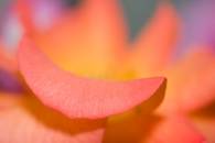 img_8066-edit