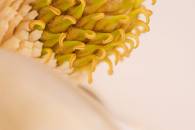 img_8072-edit