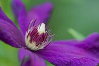 img_8453-edit