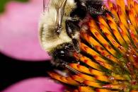 img_8472-edit