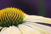 img_8480-edit