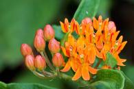 img_8491-edit
