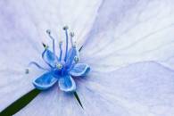 img_8498-edit