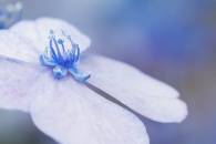 img_8503-edit