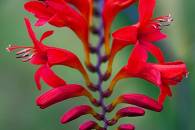 img_8522-edit