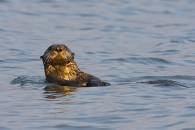 24-img_0876.jpg