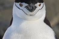 1024-1386