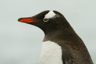 1024-0842