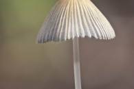 2024-07-16-18-27-37-CS4