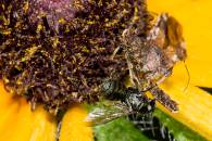 img_0249-edit img_0249-edit