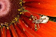 img_9468-edit img_9468-edit