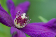img_8453-edit