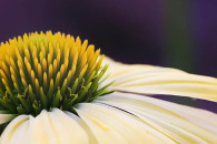 img_8480-edit