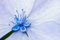 img_8498-edit