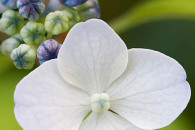 img_8505-edit