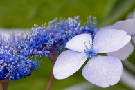 img_8511-edit