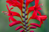 img_8522-edit