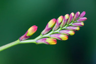 img_8530-edit