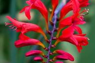 img_8534-edit img_8534-edit