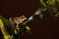 5d-ii-0591-edit