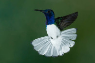 7d-2466-edit_0