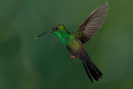 7d-2486-edit_0