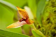 Stacked Images Finished