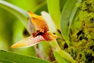 Single capture at f22