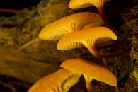 Single capture at f/22