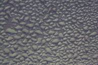 Stack of 8 focus slices at f/8