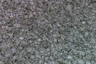 img_0251-2.jpg img_0251-2.jpg