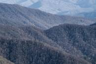 DAG16231_Photolemur-edit