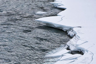 5-img_9276.jpg