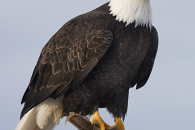 1-img_1280.jpg