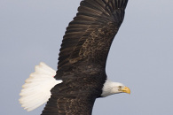 3-img_1420.jpg