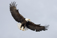 4-img_1275.jpg