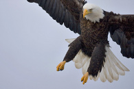 11-img_0997.jpg