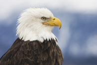 14-img_2063.jpg