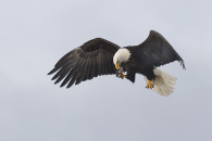 15-img_9428.jpg